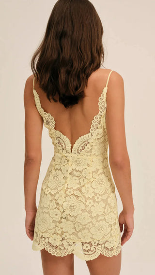 Lakeside Mini Dress