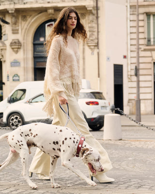 Roycen Sweater - Ivory