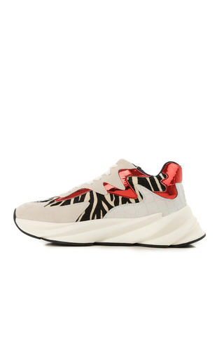 Zebra Rosso